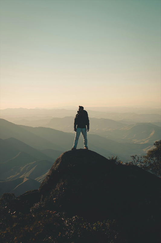 Welcome to the Wild – Our First Ever Blog Post